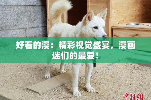 好看的漫：精彩视觉盛宴，漫画迷们的最爱！