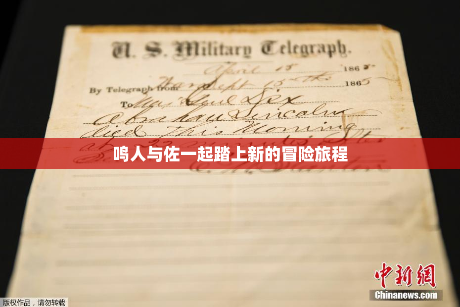 鸣人与佐一起踏上新的冒险旅程