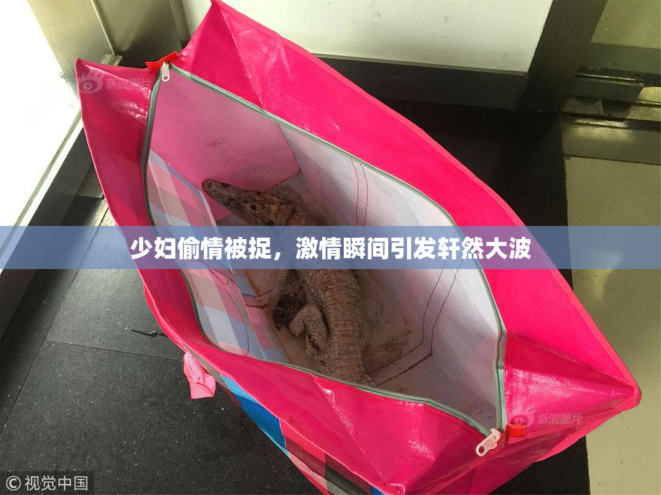 少妇偷情被捉，激情瞬间引发轩然大波