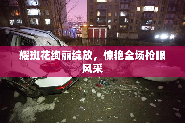 耀斑花绚丽绽放，惊艳全场抢眼风采