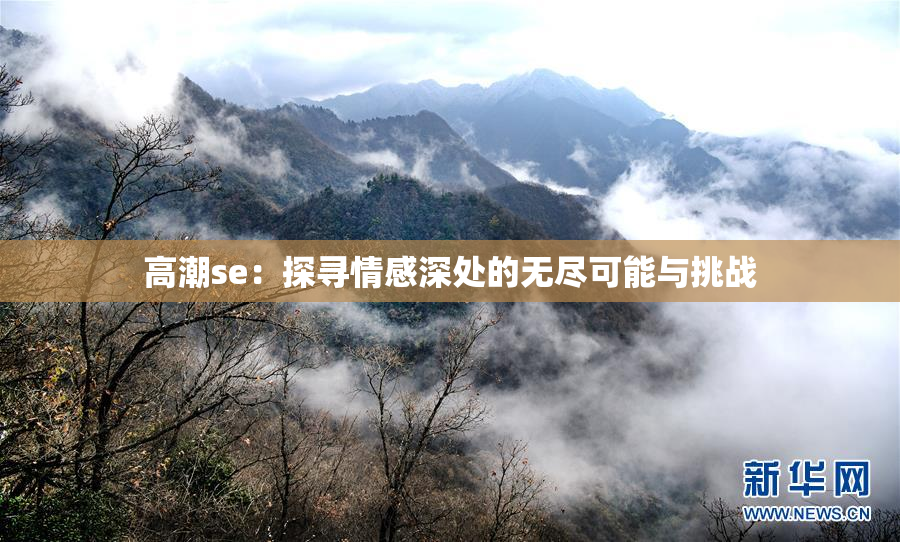 高潮se：探寻情感深处的无尽可能与挑战