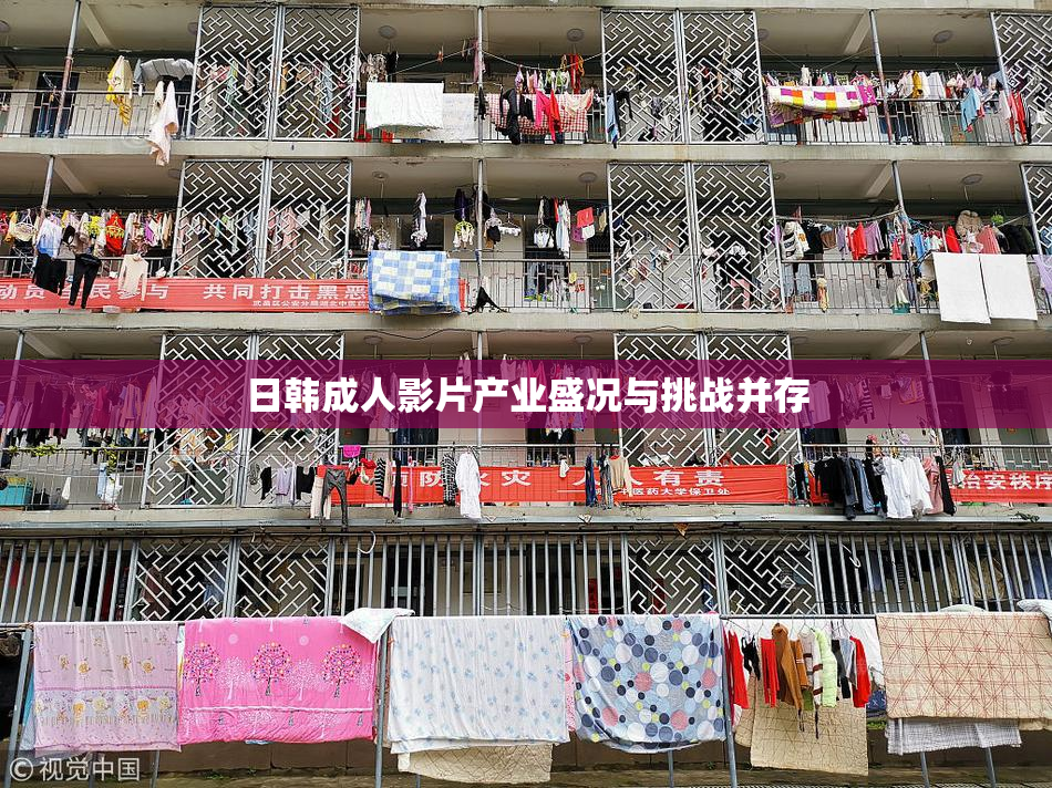 日韩成人影片产业盛况与挑战并存