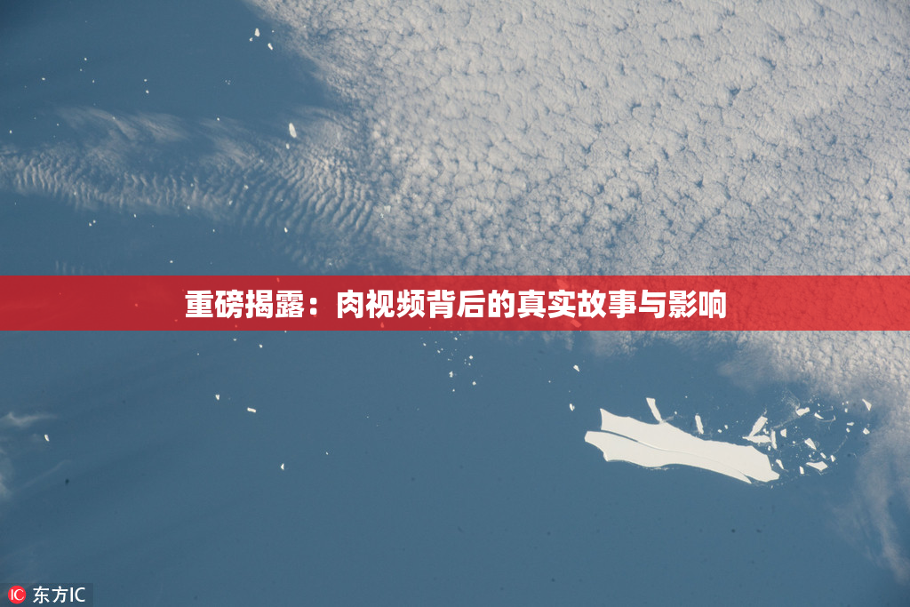 重磅揭露：肉视频背后的真实故事与影响
