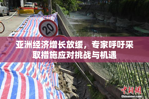 亚洲经济增长放缓，专家呼吁采取措施应对挑战与机遇