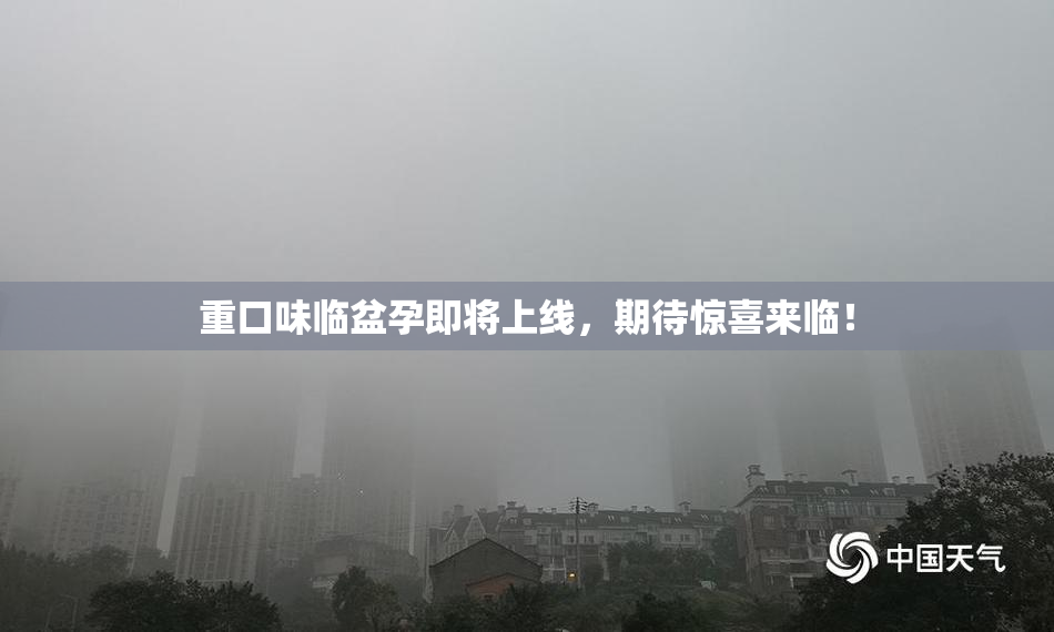 重口味临盆孕即将上线，期待惊喜来临！