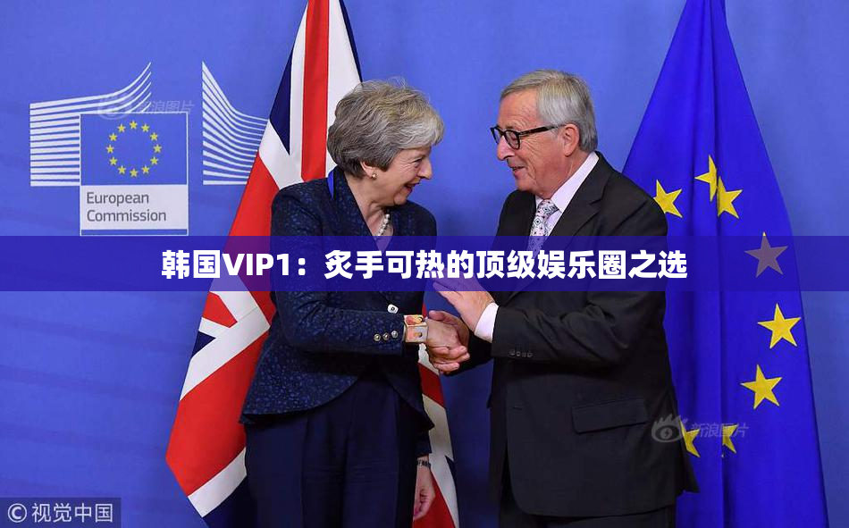 韩国VIP1：炙手可热的顶级娱乐圈之选