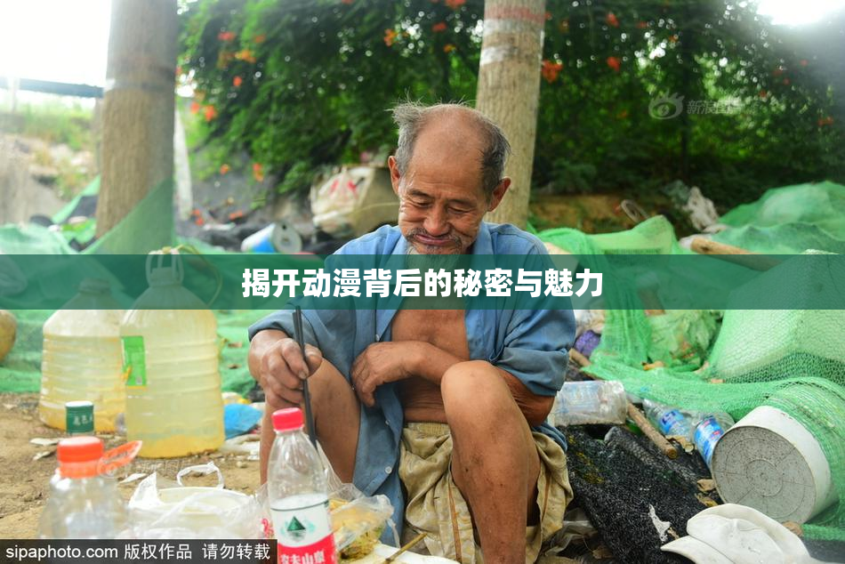 揭开动漫背后的秘密与魅力