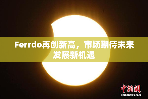 Ferrdo再创新高，市场期待未来发展新机遇
