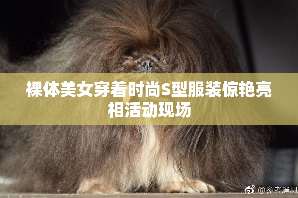 裸体美女穿着时尚S型服装惊艳亮相活动现场