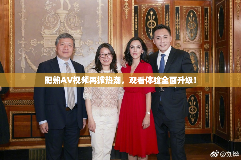 肥熟AV视频再掀热潮，观看体验全面升级！