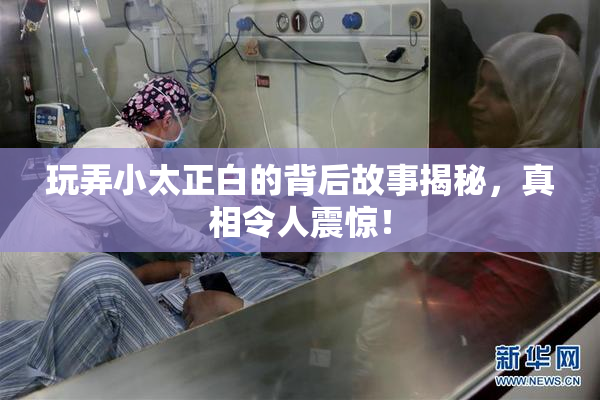 玩弄小太正白的背后故事揭秘，真相令人震惊！