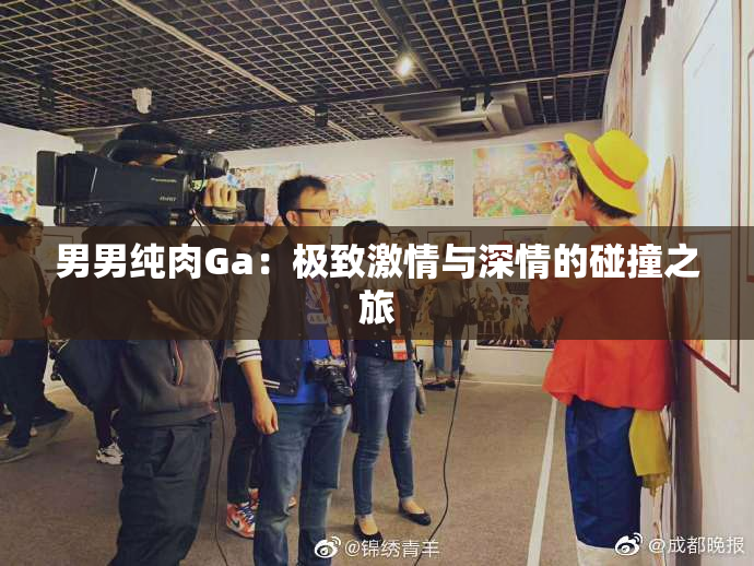 男男纯肉Ga：极致激情与深情的碰撞之旅