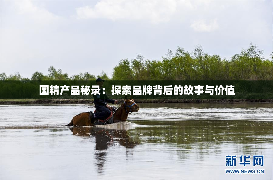 国精产品秘录：探索品牌背后的故事与价值