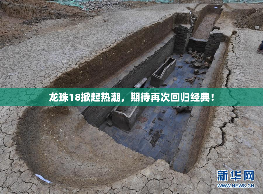 龙珠18掀起热潮，期待再次回归经典！