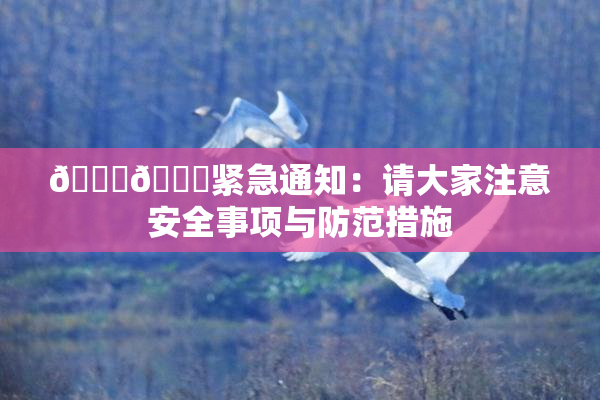 🔞🔞紧急通知：请大家注意安全事项与防范措施