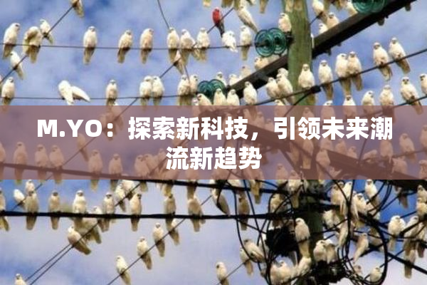 M.YO：探索新科技，引领未来潮流新趋势
