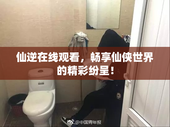 仙逆在线观看，畅享仙侠世界的精彩纷呈！