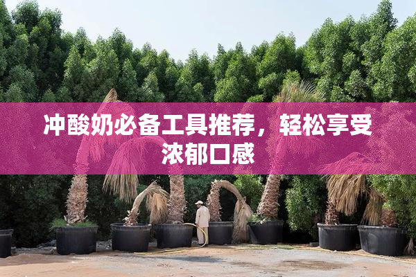 冲酸奶必备工具推荐，轻松享受浓郁口感