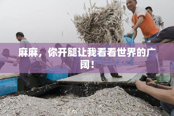 麻麻，你开腿让我看看世界的广阔！