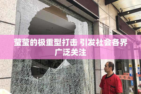 莹莹的极重型打击 引发社会各界广泛关注