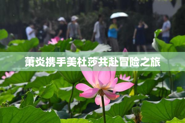 萧炎携手美杜莎共赴冒险之旅