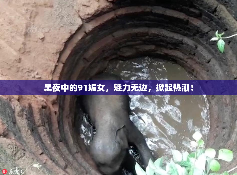 黑夜中的91媚女，魅力无边，掀起热潮！