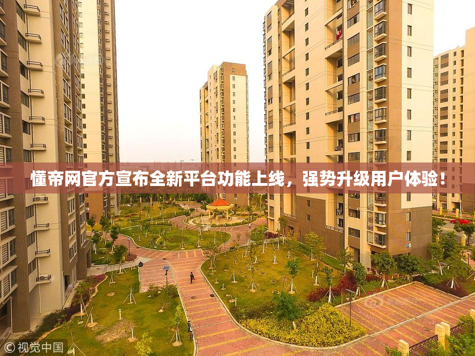 懂帝网官方宣布全新平台功能上线，强势升级用户体验！