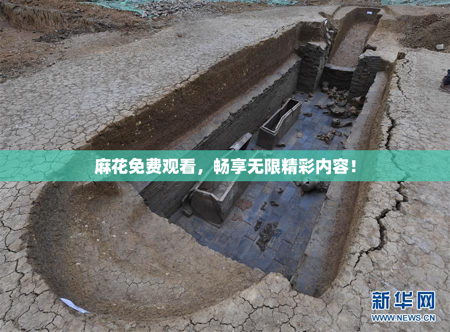麻花免费观看，畅享无限精彩内容！