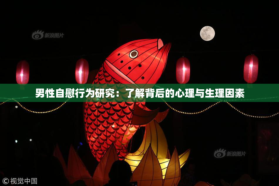 男性自慰行为研究：了解背后的心理与生理因素