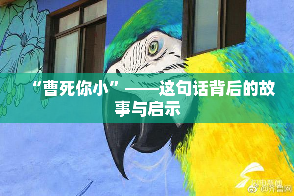 “曹死你小”——这句话背后的故事与启示