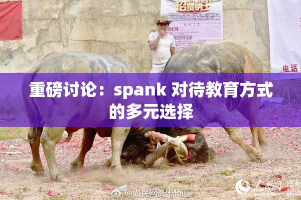 重磅讨论：spank 对待教育方式的多元选择