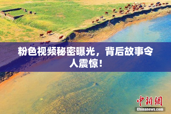 粉色视频秘密曝光，背后故事令人震惊！