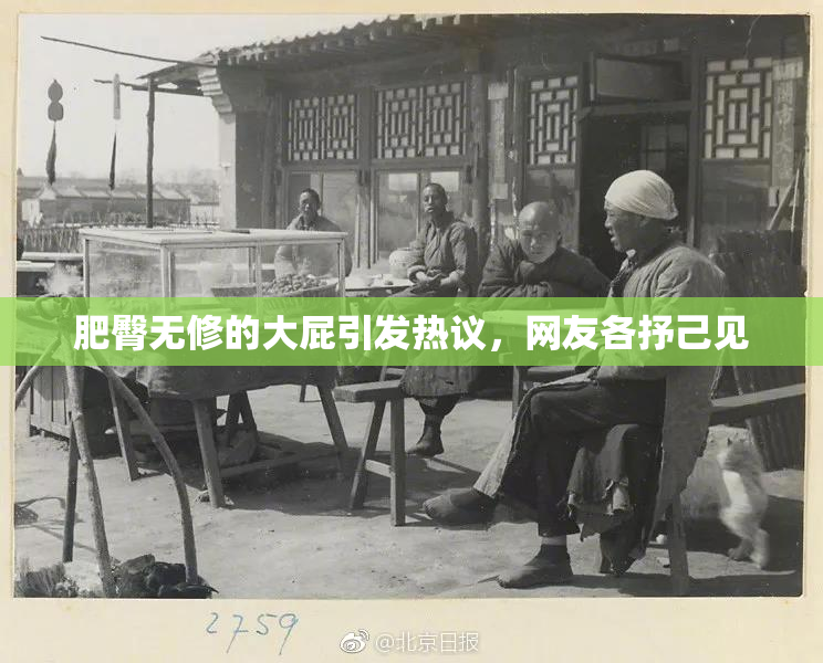 肥臀无修的大屁引发热议，网友各抒己见