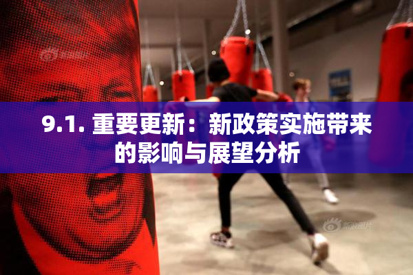 9.1. 重要更新：新政策实施带来的影响与展望分析