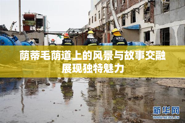 荫蒂毛荫道上的风景与故事交融展现独特魅力