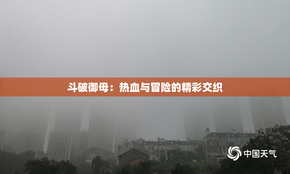 斗破御母：热血与冒险的精彩交织
