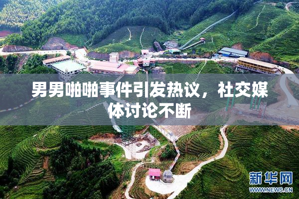 男男啪啪事件引发热议，社交媒体讨论不断