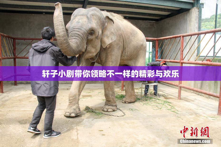 轩子小剧带你领略不一样的精彩与欢乐