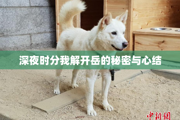 深夜时分我解开岳的秘密与心结