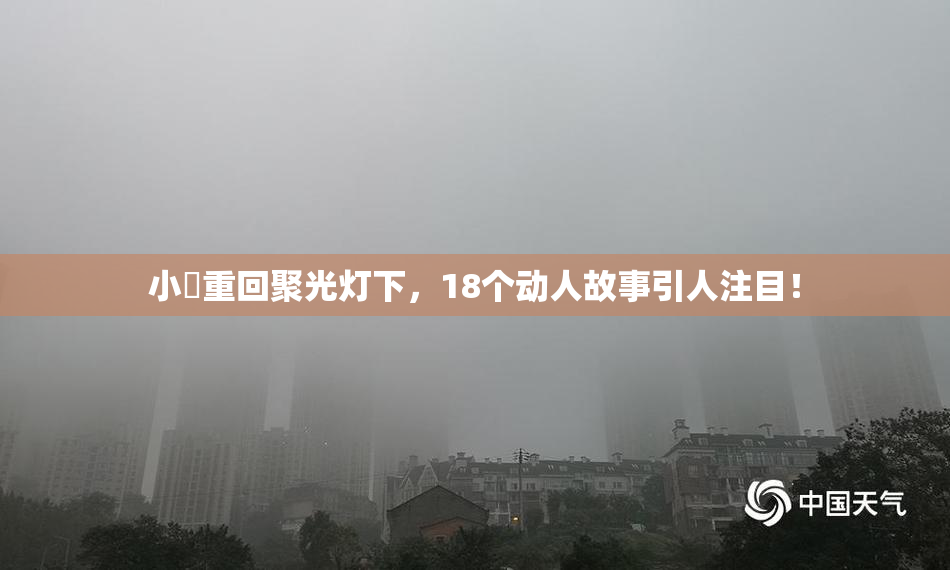 小泬重回聚光灯下，18个动人故事引人注目！