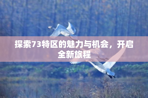 探索73特区的魅力与机会，开启全新旅程