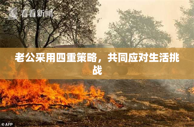 老公采用四重策略，共同应对生活挑战