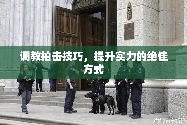 调教拍击技巧，提升实力的绝佳方式