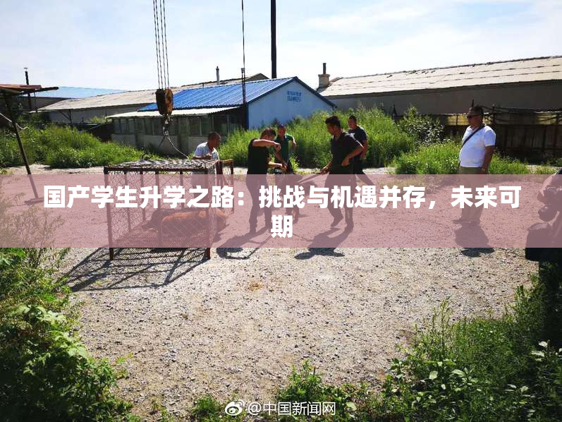 国产学生升学之路：挑战与机遇并存，未来可期