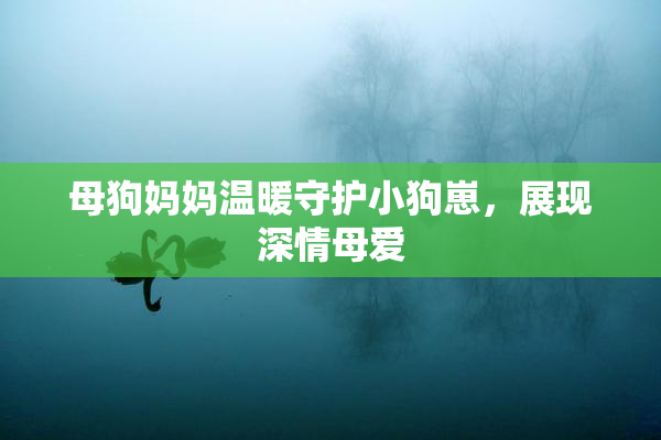 母狗妈妈温暖守护小狗崽，展现深情母爱