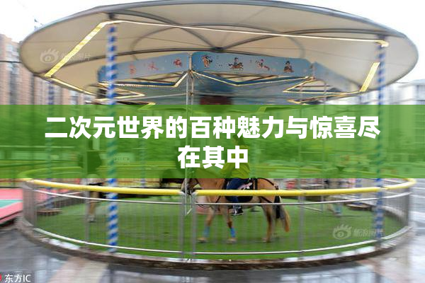 二次元世界的百种魅力与惊喜尽在其中