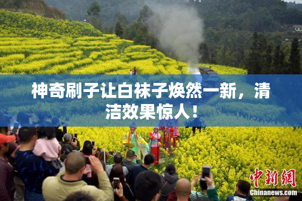 神奇刷子让白袜子焕然一新，清洁效果惊人！