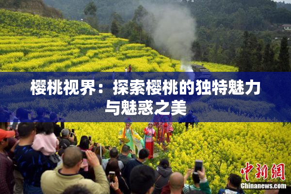 樱桃视界：探索樱桃的独特魅力与魅惑之美