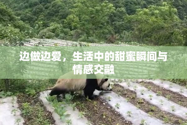 边做边爱，生活中的甜蜜瞬间与情感交融