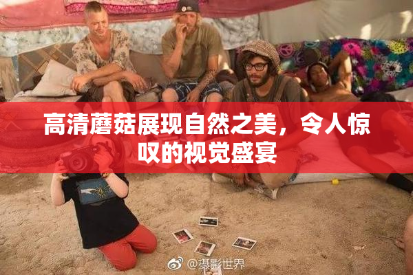 高清蘑菇展现自然之美，令人惊叹的视觉盛宴